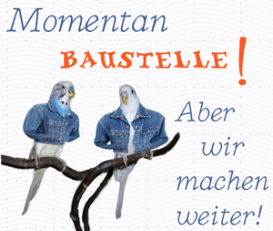 Momentan-Baustelle!
