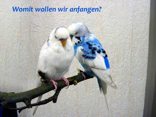 Womit-anfangen