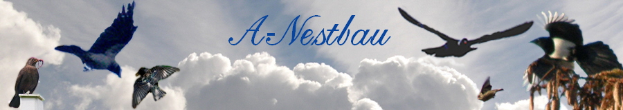 A-Nestbau