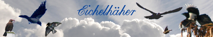 Eichelhher