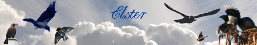 Elster