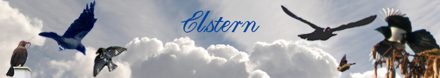 Elstern