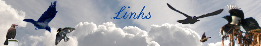 Links