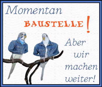 xMomentan-Baustelle1