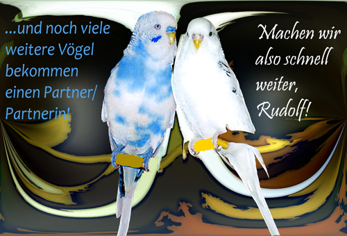 x_..viele-weitere-Vgel1